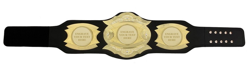 *NEW* PROGEMELITE ENGRAVED CHAMPIONSHIP BELT - PROGEMELITE/G/ENGRAVE *NEW* PROGEMELITE ENGRAVED CHAMPIONSHIP BELT - PROGEMELITE/G/ENGRAVE